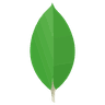 MongoDB